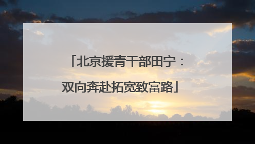 北京援青干部田宁：双向奔赴拓宽致富路