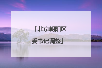 北京朝阳区委书记调整