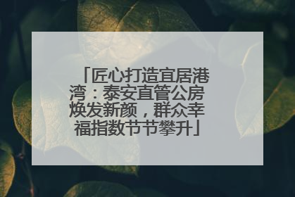匠心打造宜居港湾：泰安直管公房焕发新颜，群众幸福指数节节攀升