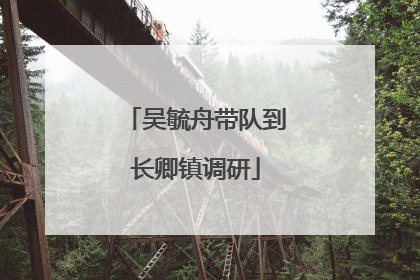 吴毓舟带队到长卿镇调研