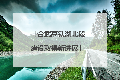 合武高铁湖北段建设取得新进展