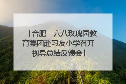合肥一六八玫瑰园教育集团赴习友小学召开视导总结反馈会