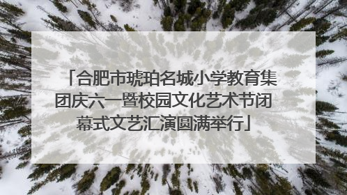 合肥市琥珀名城小学教育集团庆六一暨校园文化艺术节闭幕式文艺汇演圆满举行