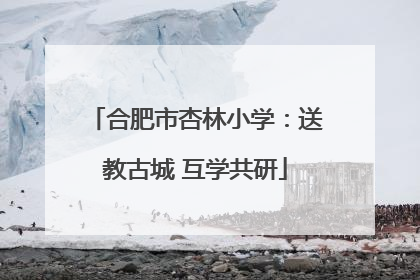 合肥市杏林小学：送教古城 互学共研