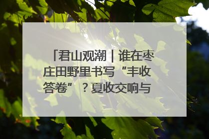 君山观潮｜谁在枣庄田野里书写“丰收答卷”？夏收交响与特色产业，共绘乡村振兴新图景