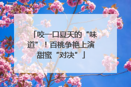 咬一口夏天的“味道”！百桃争艳上演甜蜜“对决”