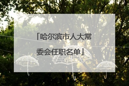 哈尔滨市人大常委会任职名单