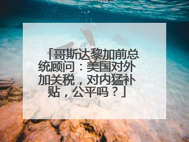 哥斯达黎加前总统顾问：美国对外加关税，对内猛补贴，公平吗？