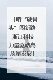啃“硬骨头”闯新路 浙江科技力量驱动高质量发展