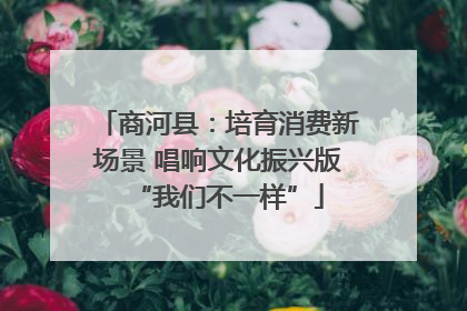 商河县：培育消费新场景 唱响文化振兴版“我们不一样”