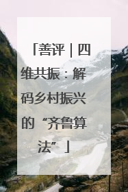 善评｜四维共振：解码乡村振兴的“齐鲁算法”