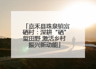 嘉禾县珠泉镇富硒村：深耕“硒”望田野 激活乡村振兴新动能