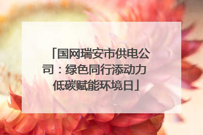 国网瑞安市供电公司：绿色同行添动力 低碳赋能环境日