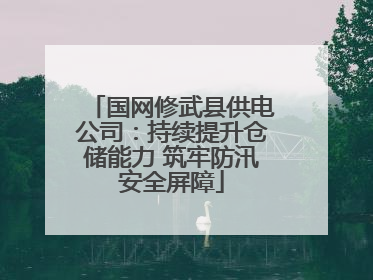 国网修武县供电公司：持续提升仓储能力 筑牢防汛安全屏障