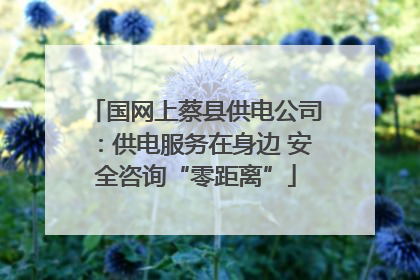 国网上蔡县供电公司：供电服务在身边 安全咨询“零距离”