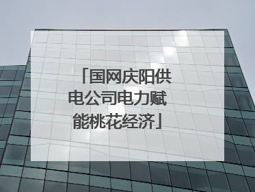 国网庆阳供电公司电力赋能桃花经济