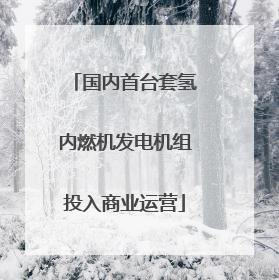国内首台套氢内燃机发电机组投入商业运营
