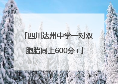 四川达州中学一对双胞胎同上600分+