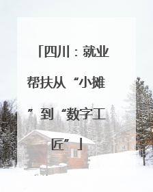 四川：就业帮扶从“小摊”到“数字工匠”
