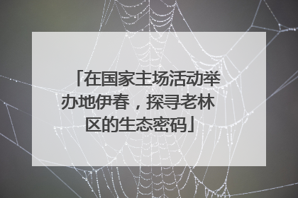 在国家主场活动举办地伊春，探寻老林区的生态密码