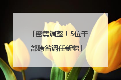 密集调整！5位干部跨省调任新疆