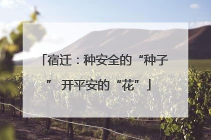 宿迁：种安全的“种子” 开平安的“花”