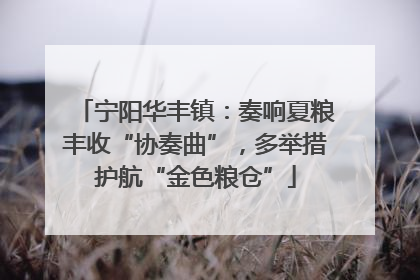 宁阳华丰镇：奏响夏粮丰收“协奏曲”，多举措护航“金色粮仓”
