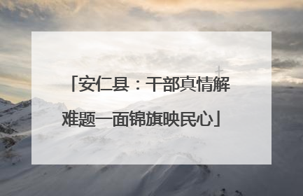 安仁县：干部真情解难题一面锦旗映民心