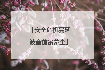 安全危机蔓延 波音前景蒙尘