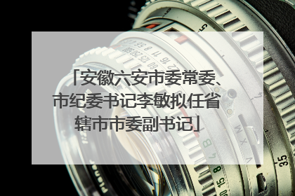 安徽六安市委常委、市纪委书记李敏拟任省辖市市委副书记