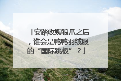 安踏收购狼爪之后，谁会是鸭鸭羽绒服的“国际跳板”？