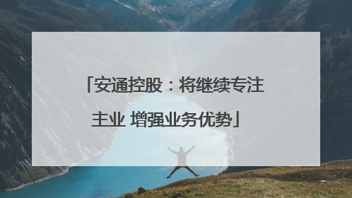 安通控股：将继续专注主业 增强业务优势
