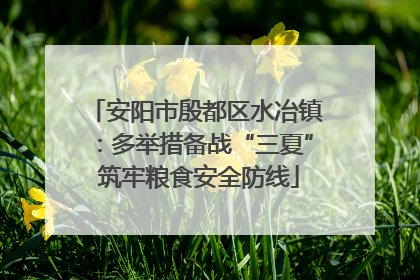 安阳市殷都区水冶镇：多举措备战“三夏” 筑牢粮食安全防线