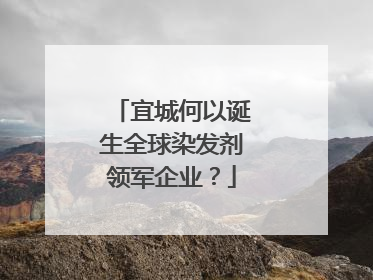 宜城何以诞生全球染发剂领军企业？