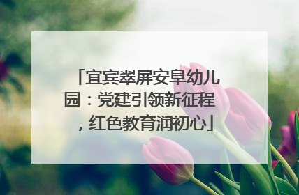 宜宾翠屏安阜幼儿园：党建引领新征程，红色教育润初心