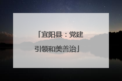 宜阳县：党建引领和美善治
