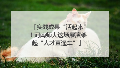 实践成果“活起来”！河南师大这场展演架起“人才直通车”