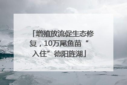 增殖放流促生态修复，10万尾鱼苗“入住”德阳旌湖