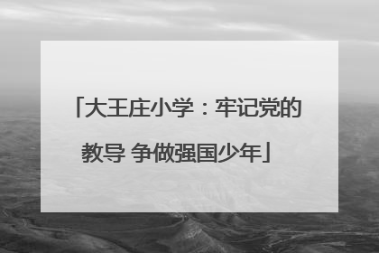 大王庄小学：牢记党的教导 争做强国少年