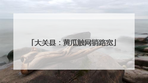 大关县：黄瓜触网销路宽