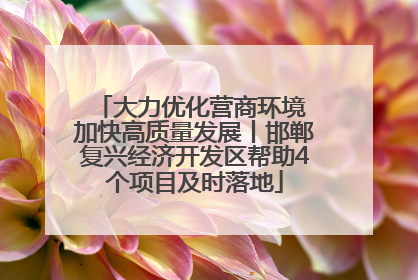 大力优化营商环境 加快高质量发展丨邯郸复兴经济开发区帮助4个项目及时落地