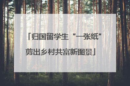 归国留学生“一张纸”剪出乡村共富新图景