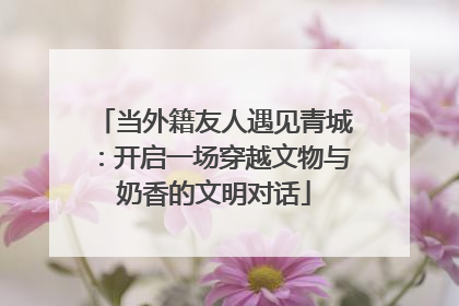 当外籍友人遇见青城：开启一场穿越文物与奶香的文明对话