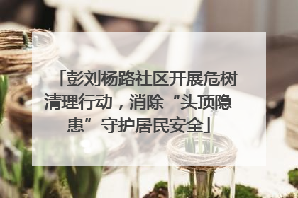 彭刘杨路社区开展危树清理行动，消除“头顶隐患”守护居民安全