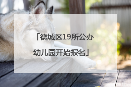 德城区19所公办幼儿园开始报名