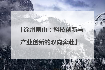 徐州泉山：科技创新与产业创新的双向奔赴