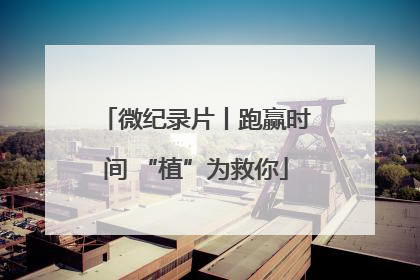 微纪录片丨跑赢时间 “植”为救你