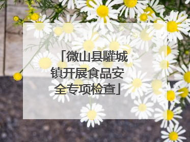 微山县驩城镇开展食品安全专项检查