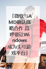 微软与AMD确认战略合作 高呼要让Windows成为头号游戏平台