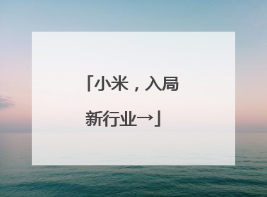 小米，入局新行业→